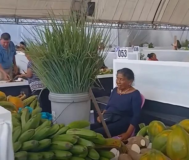 Comerciante con plátano, papaya y yuca en su puesto