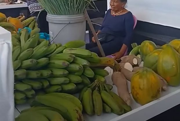 Plátano verde, papaya y yuca en exhibición