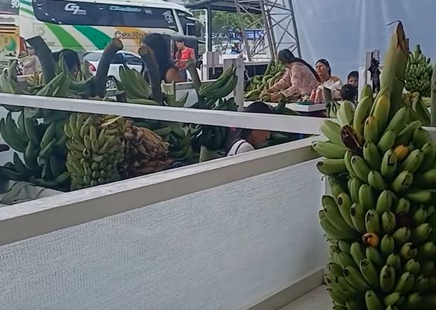 Puestos de frutas con la vía y el transporte al fondo